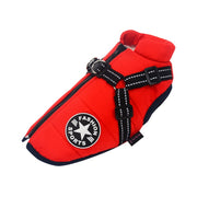 Pet Dog jacket With Harness